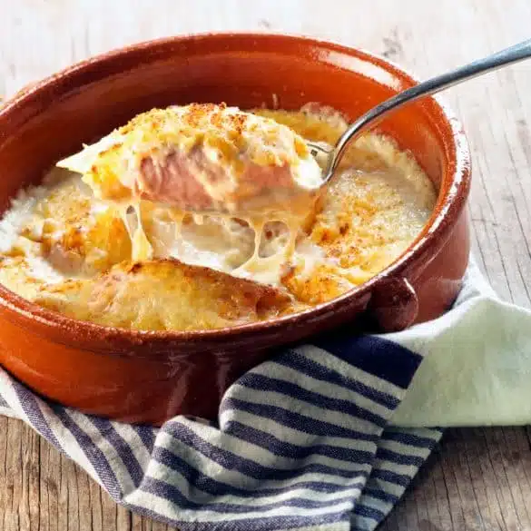 KACHEN Chicory gratin with ham and cheese sauce