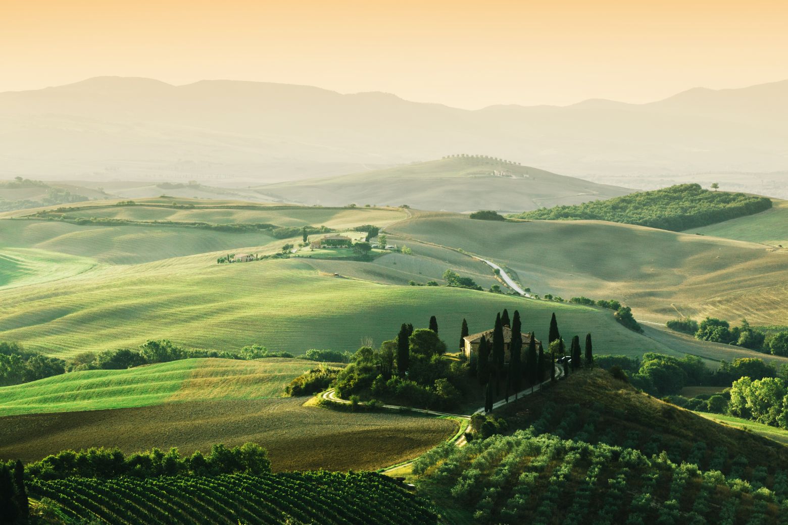 Tuscany - A dynamic Wine Region — KACHEN